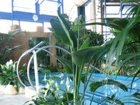 Bild für Erding_Aqua-Technik_02